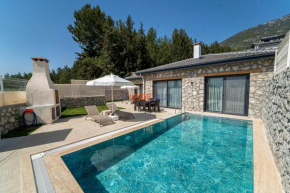 AYLIN VILLA 1